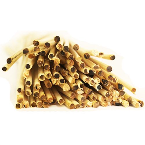 Thick 3.5mm Indo Reeds - Approx 100 Sticks