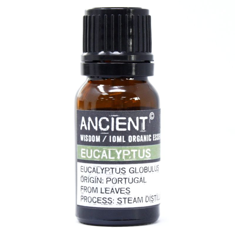 Organic Essential Oils and Base Oils Starter