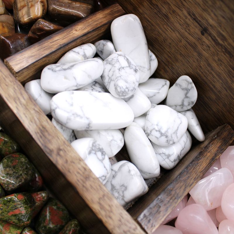 Large Tumble Stones - Starter