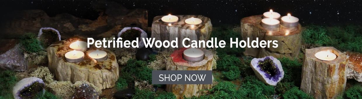 Petrified Wood Candle Holder