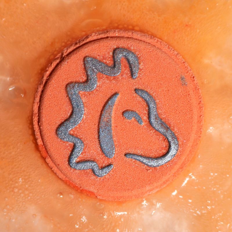 Box of 2 Zodiac Bath Fizzers with Horoscope - Leo