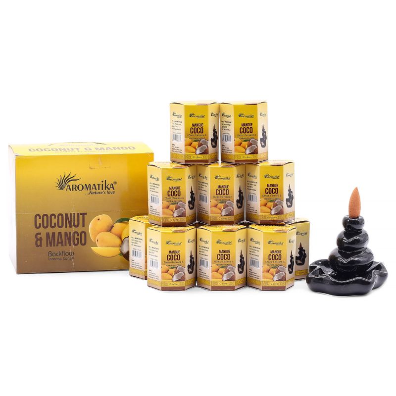 Aromatika Masala Backflow Incense - Coconut & Mango