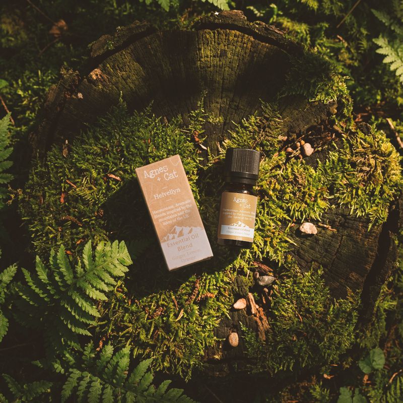 Essential Oil Blend - Great Gable - Eucalyptus, Ravensara & Corn Mint