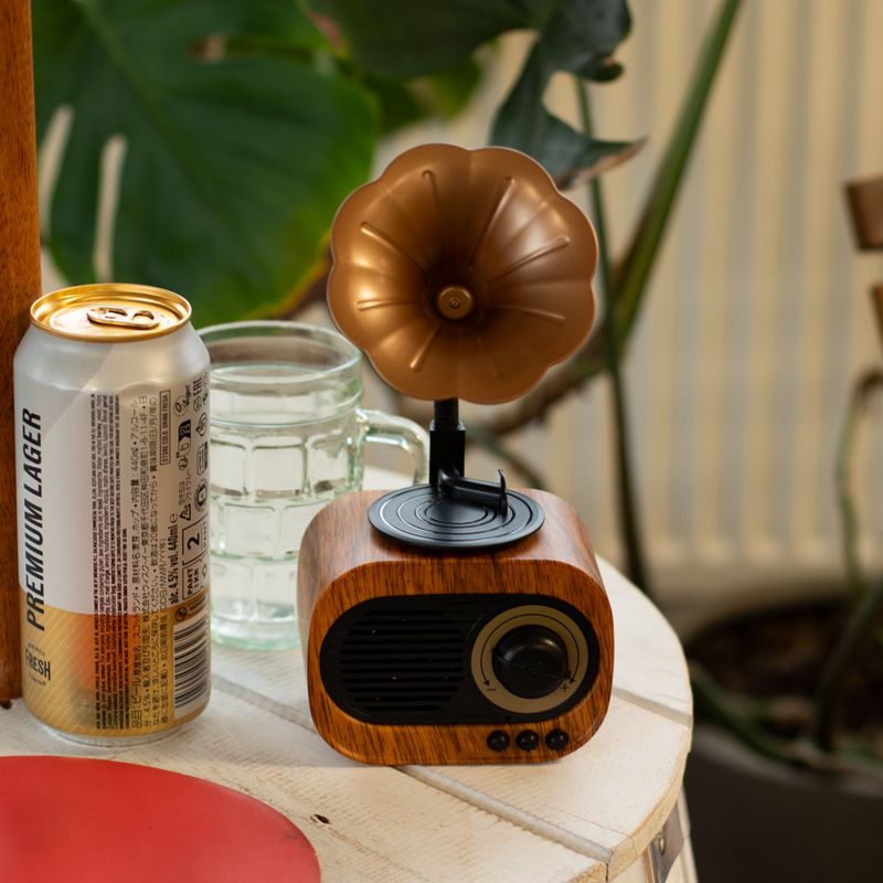 Retro Mini Gramophone Speaker - Bluetooth & FM Radio - 5W Output