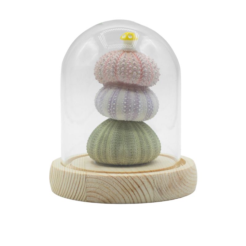 Floral Glow Garden Dome - 3 Sea Urchins - LED USB