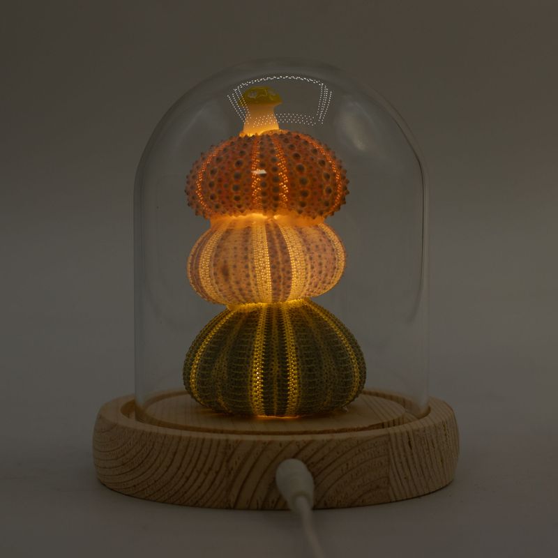 Floral Glow Garden Dome - 3 Sea Urchins - LED USB
