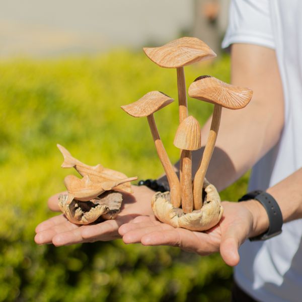 Wholesale Parasite Wood Art Carvings