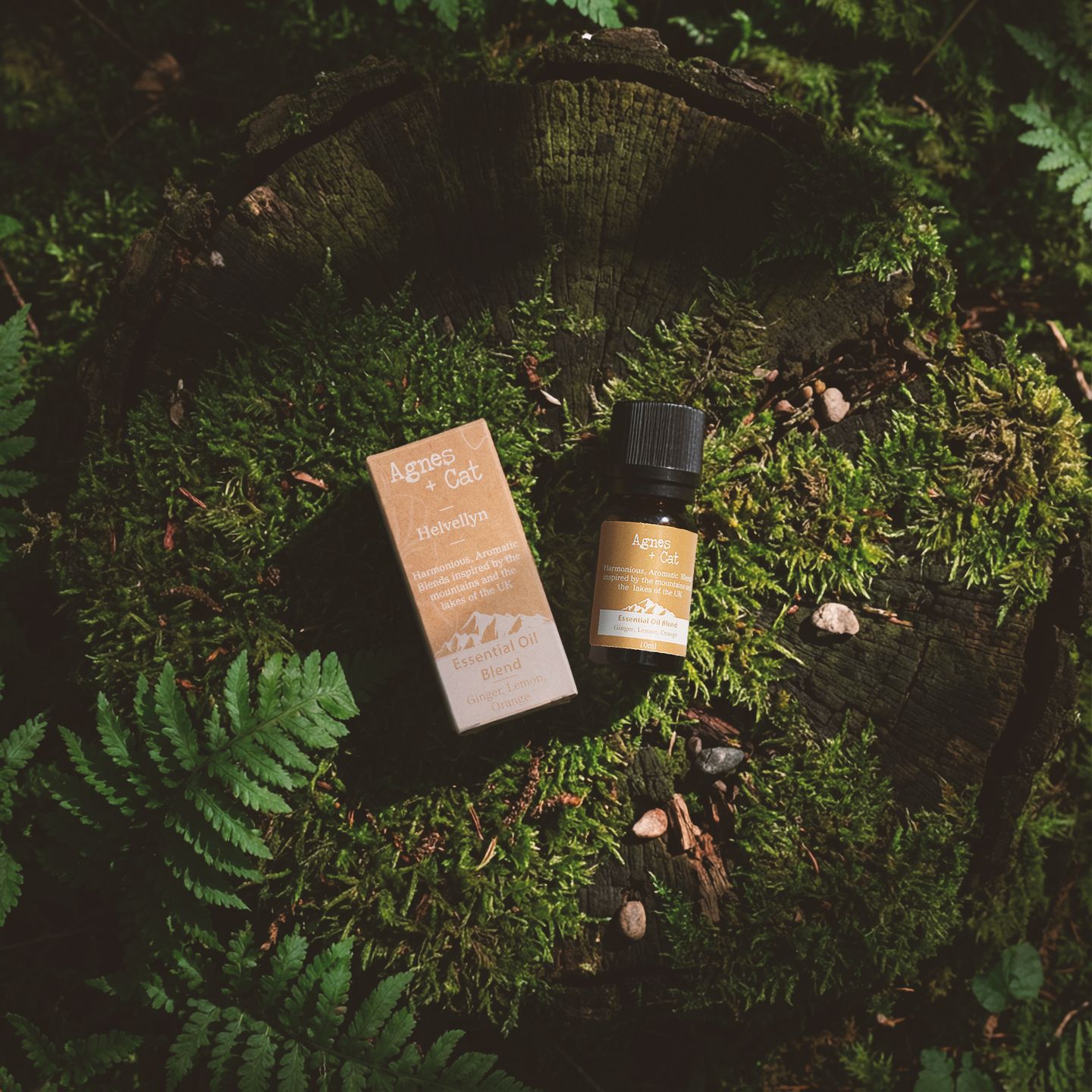 Agnes + Cat Essential Oil Blends