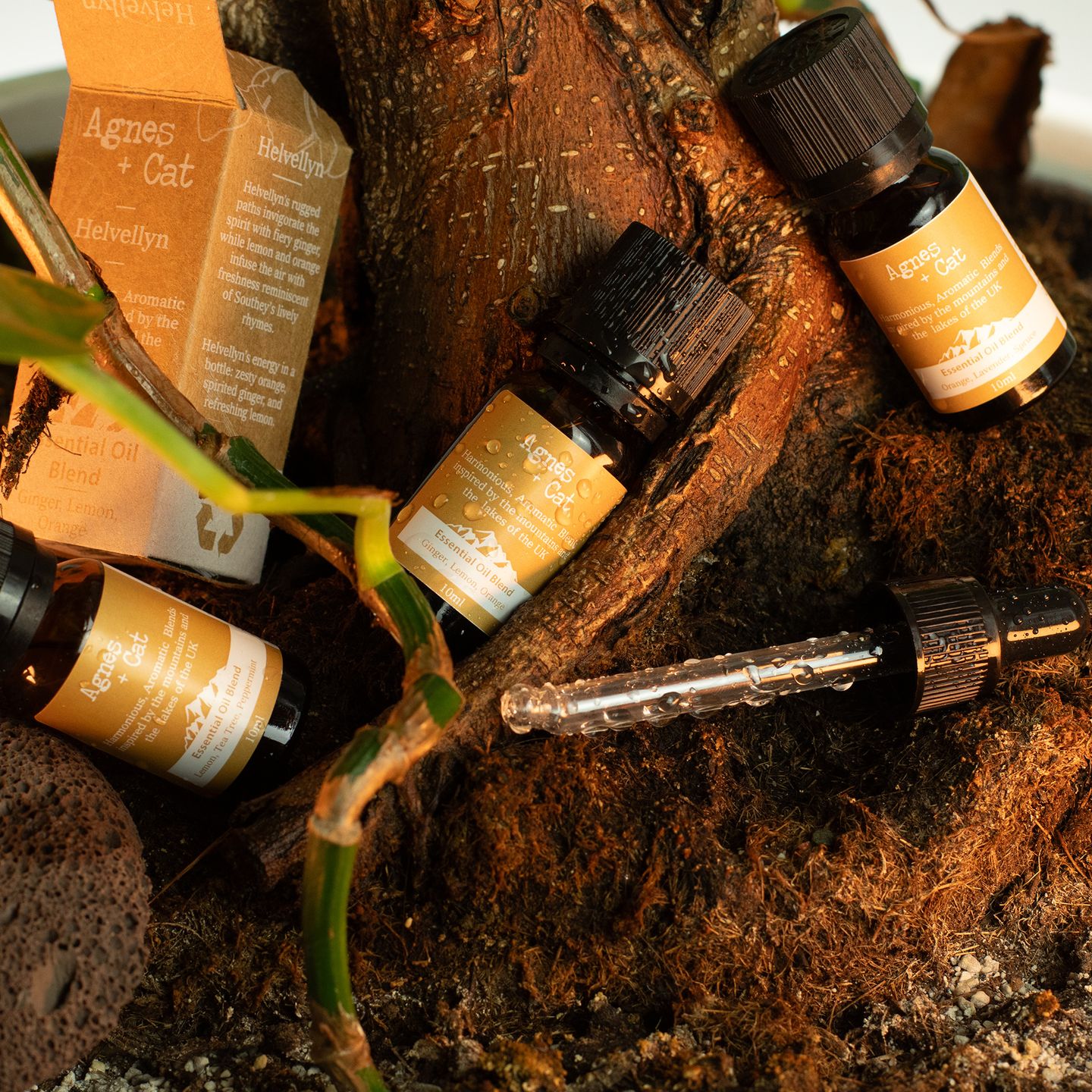 Agnes + Cat Essential Oil Blends