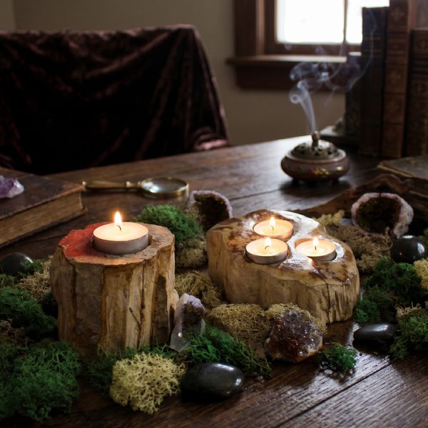 Petrified Wood Candle Holder