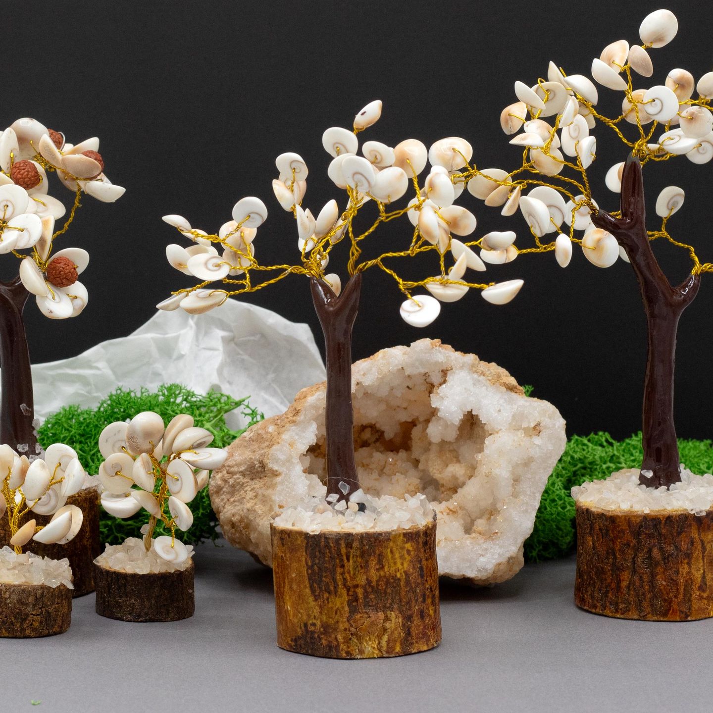 Gomati Chakra Circle Stone Trees