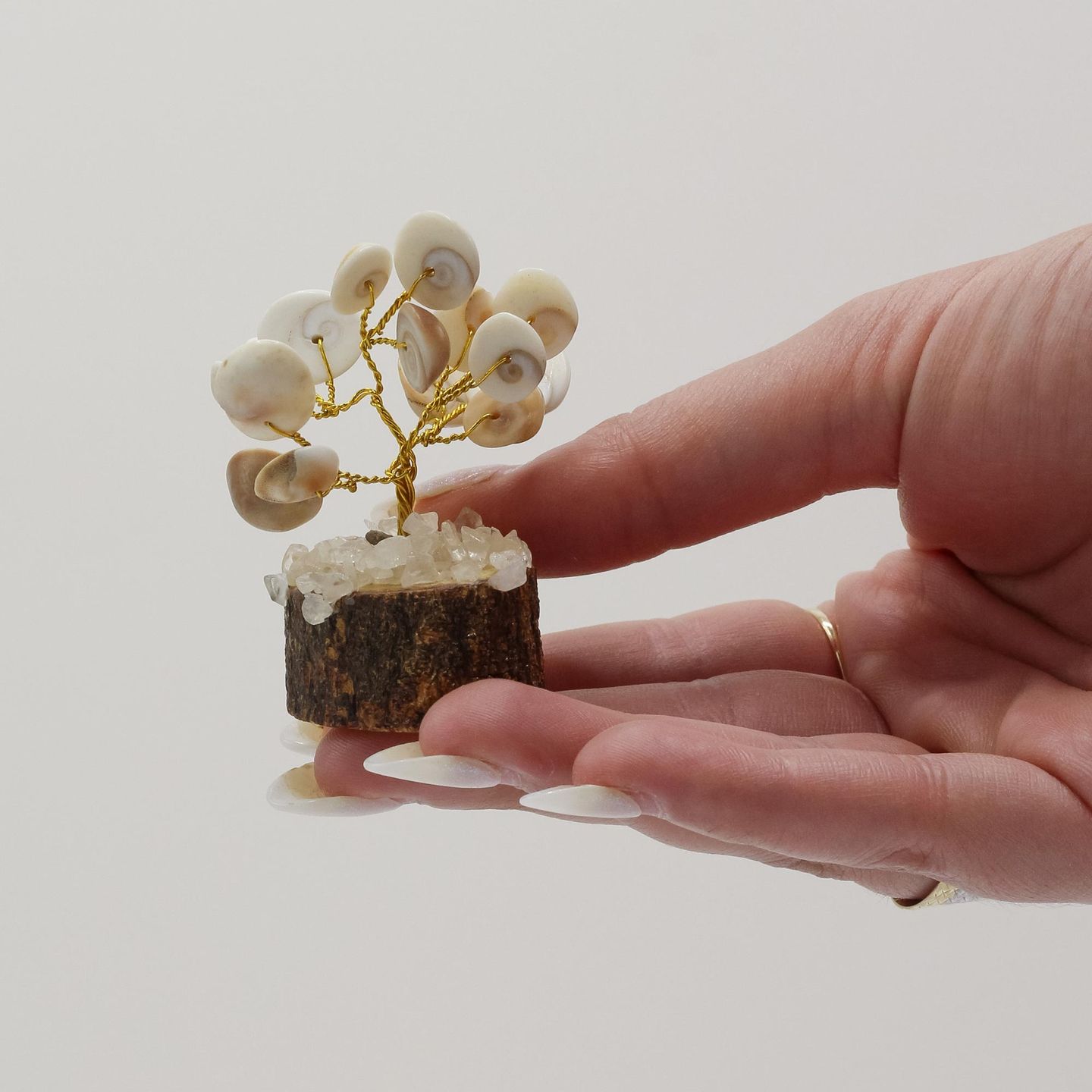 Gomati Chakra Circle Stone Trees