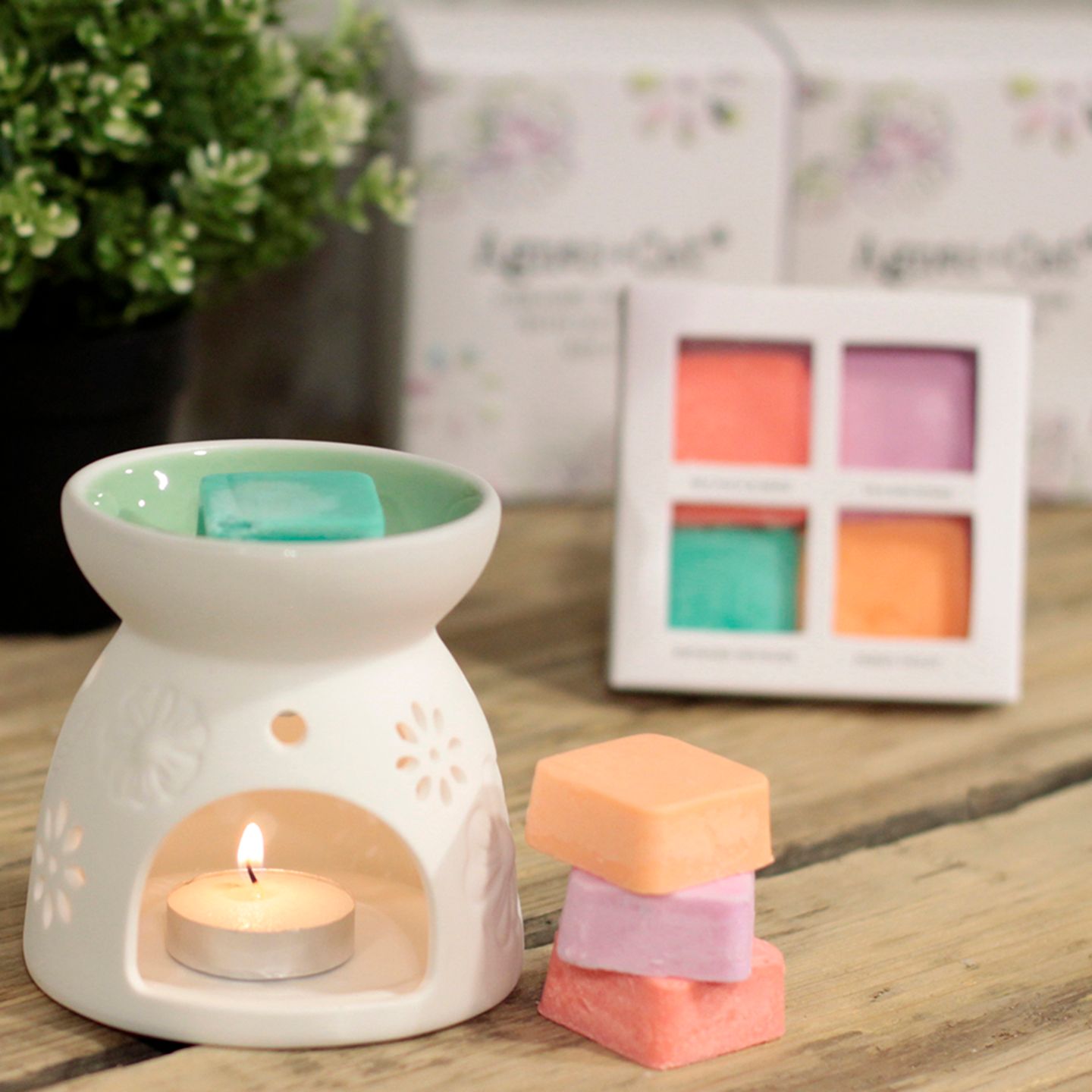 Agnes + Cat Ceramic Wax Melt Burners