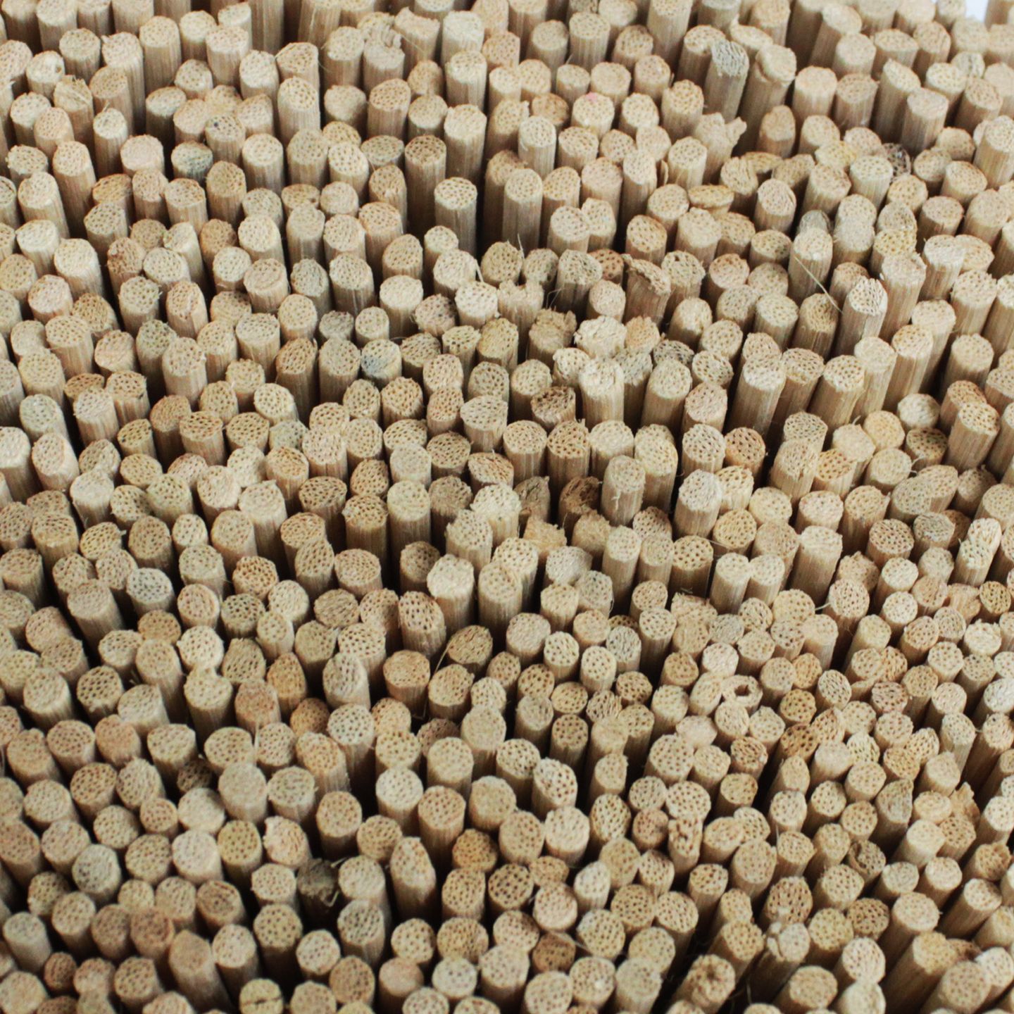 Bulk Reed Diffuser Reeds