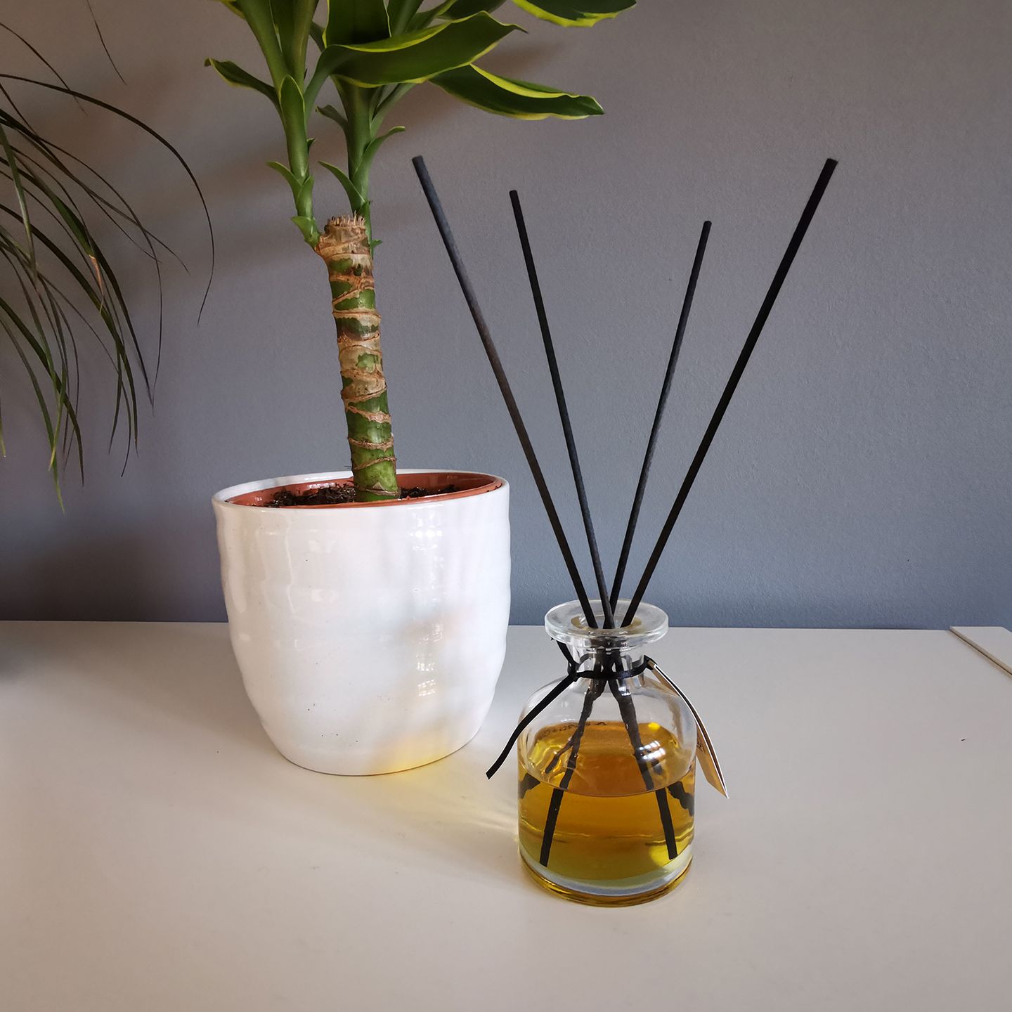 Bulk Reed Diffuser Reeds
