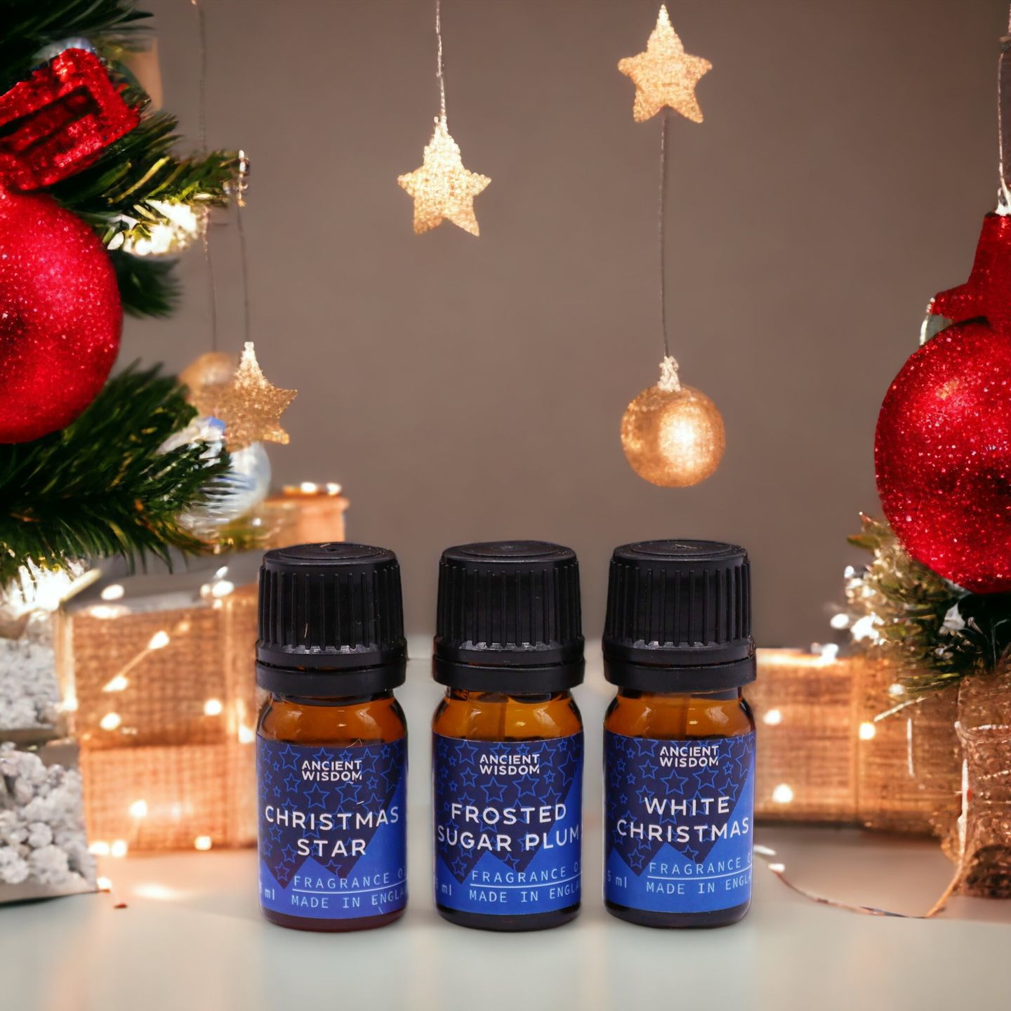 Christmas Fragrance Oils Sets