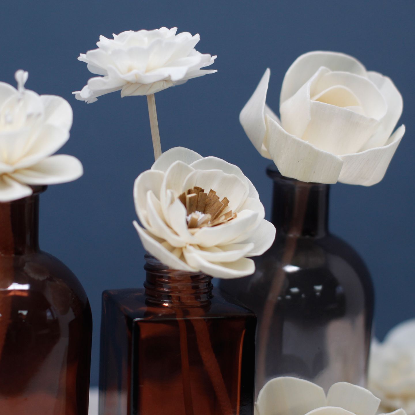 Natural Diffuser Flowers