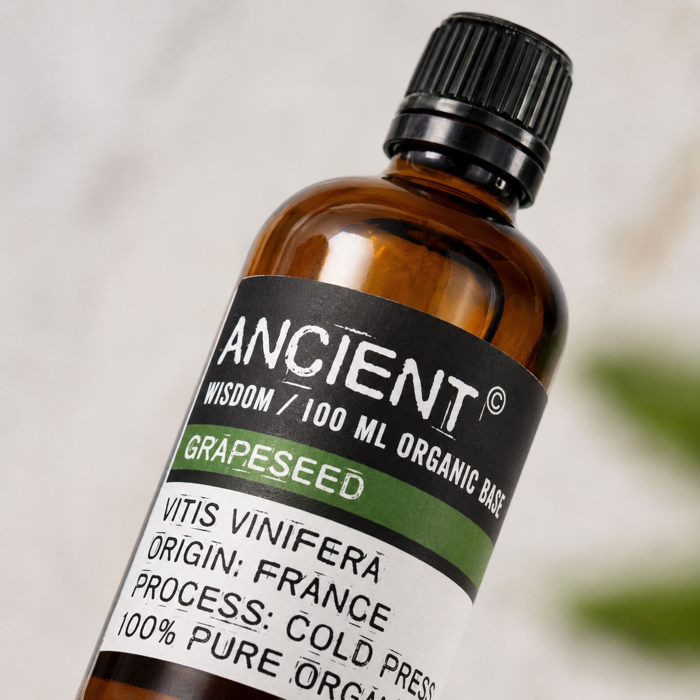 Wholesale Organic Base Oils - 100ml