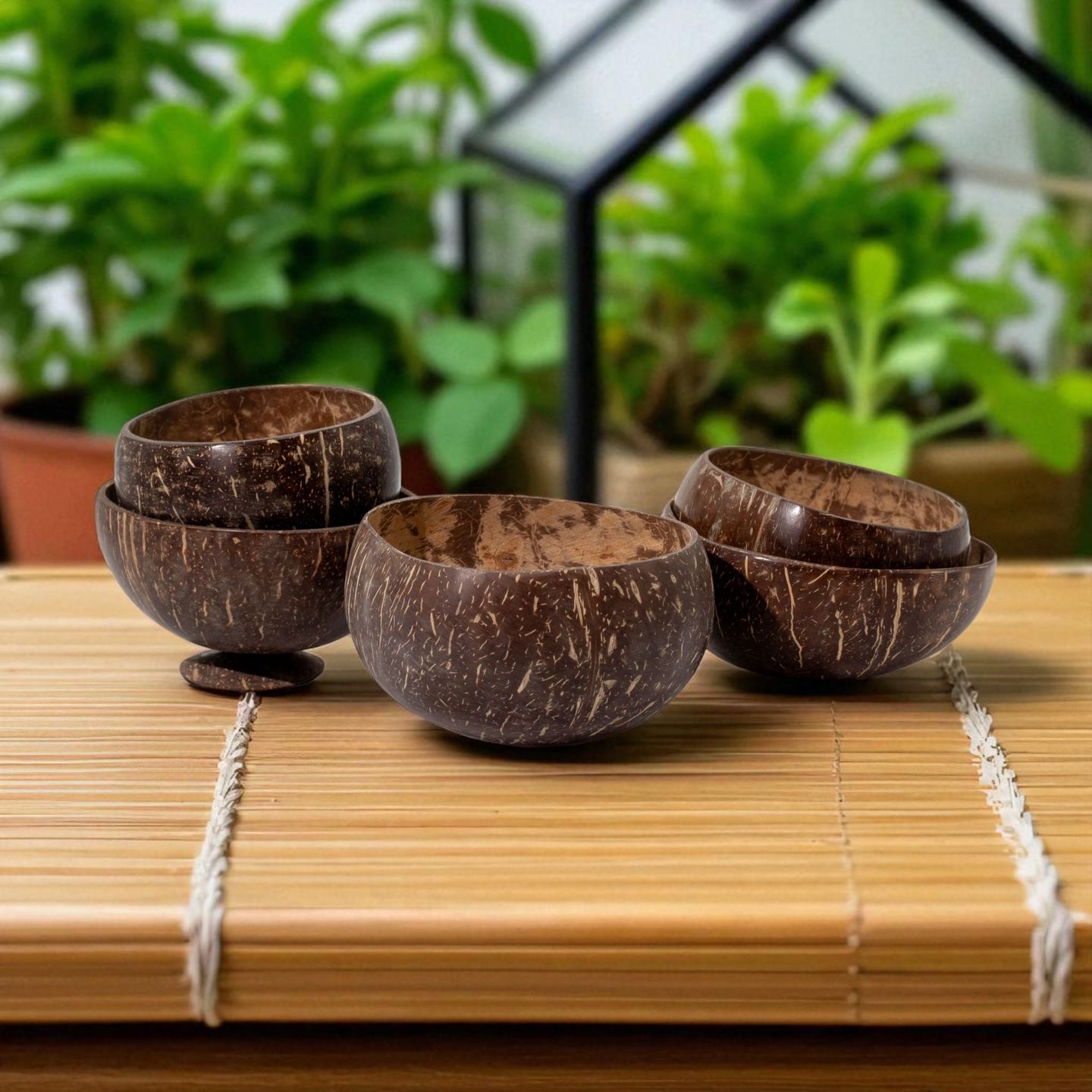 Natural Coconut Bowls for Craft Use