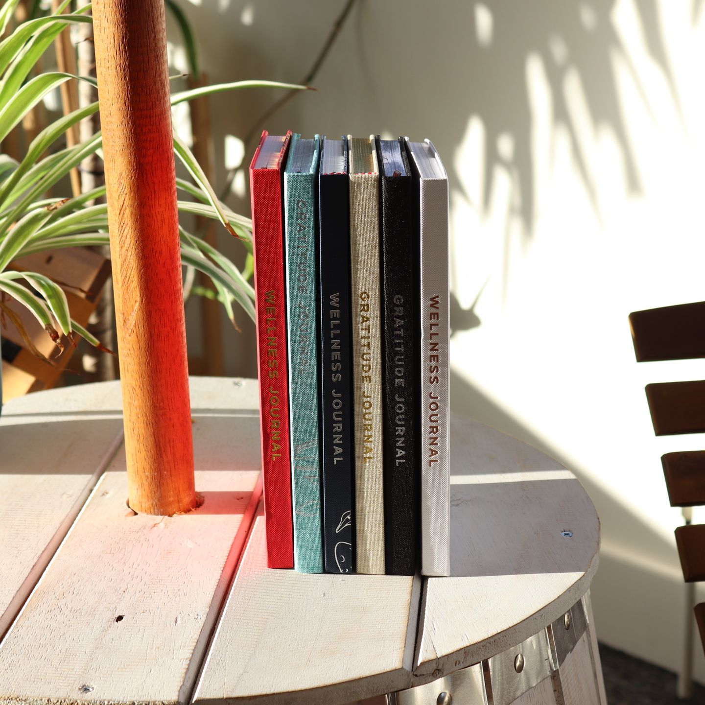 Wellness & Gratitude Journals Collection