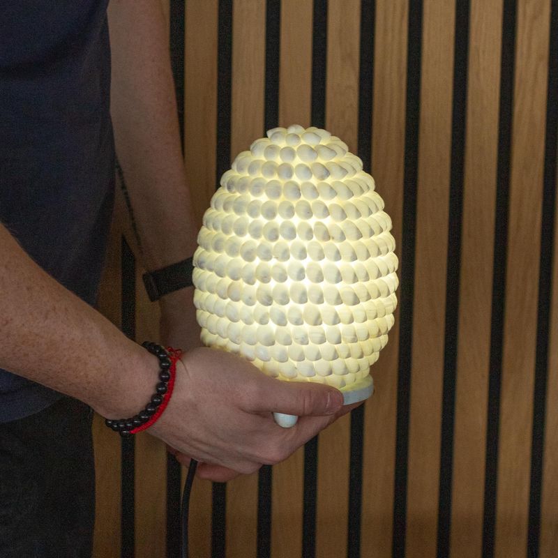 Boho Sea Shell Lamp - Buting Shell Oval - 15cm