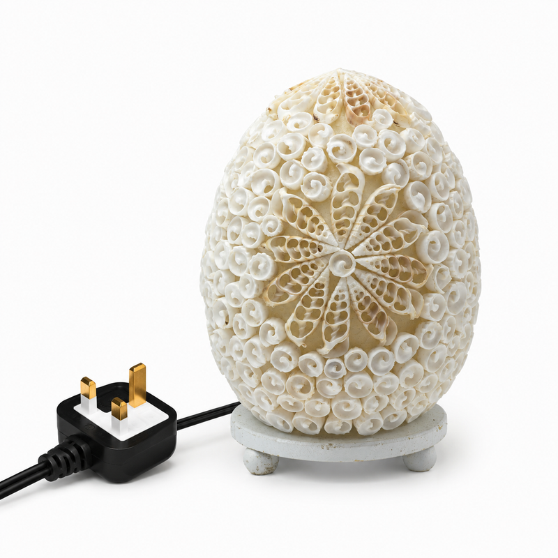 Boho Sea Shell Lamp - Cut Art Shell Oval - 15cm (UK)