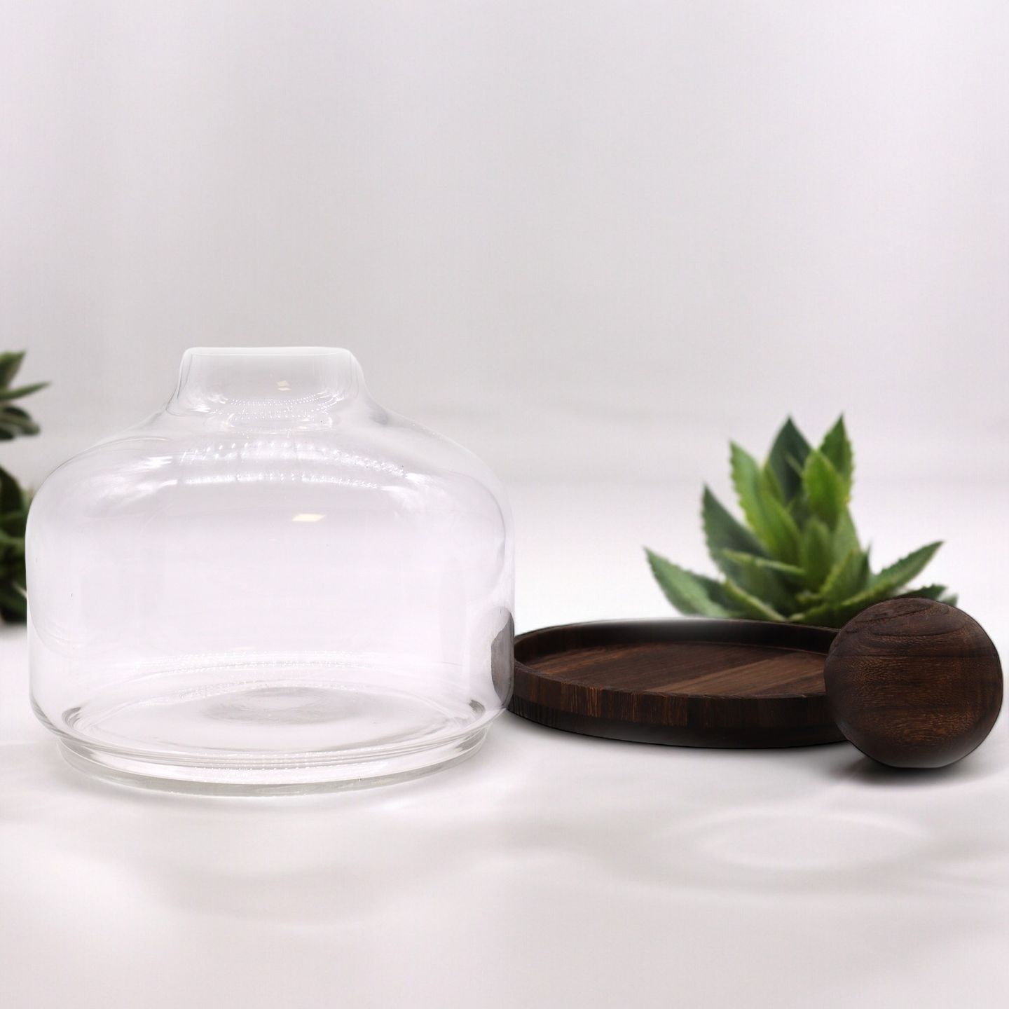 Glass Terrariums