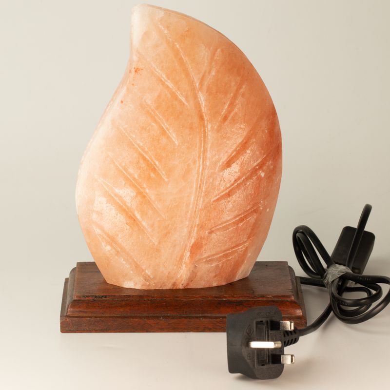 Salt Lamp - Fern Shaped - UK Plug