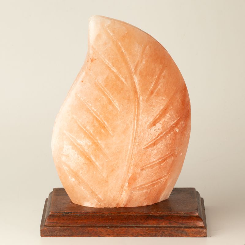 Salt Lamp - Fern Shaped - UK Plug