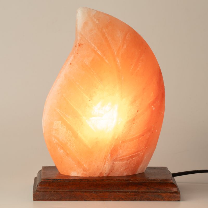 Salt Lamp - Fern Shaped - UK Plug