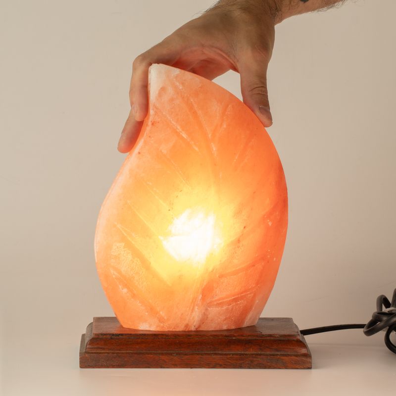 Salt Lamp - Fern Shaped - UK Plug