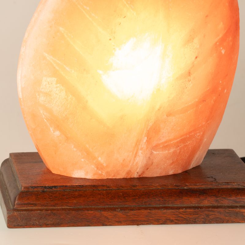 Salt Lamp - Fern Shaped - UK Plug