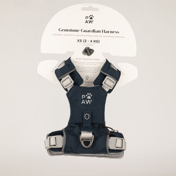 PAW Dog Guardian Harness with Black Obsidian Charm - (2-4kg)