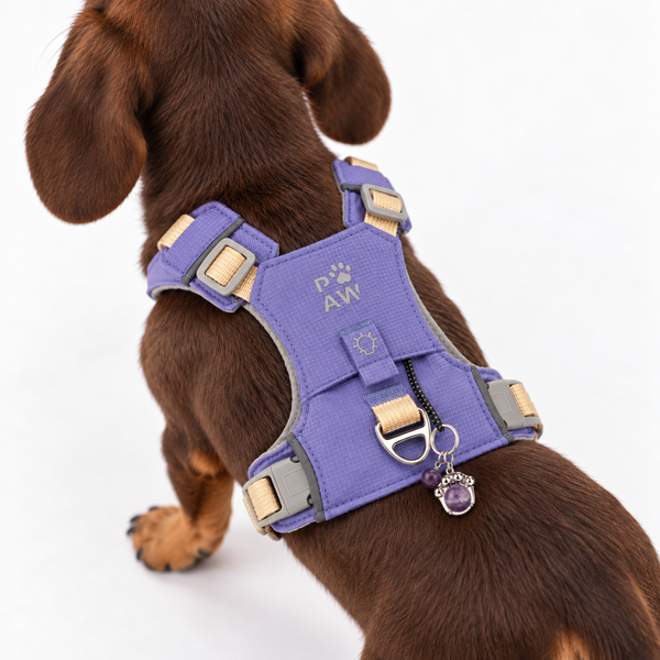 PAW Dog Guardian Harness with Amethyst Charm - (2-4kg)