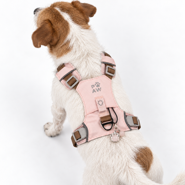 PAW Dog Guardian Harness with Rose Quartz Charm - (4-8kg)