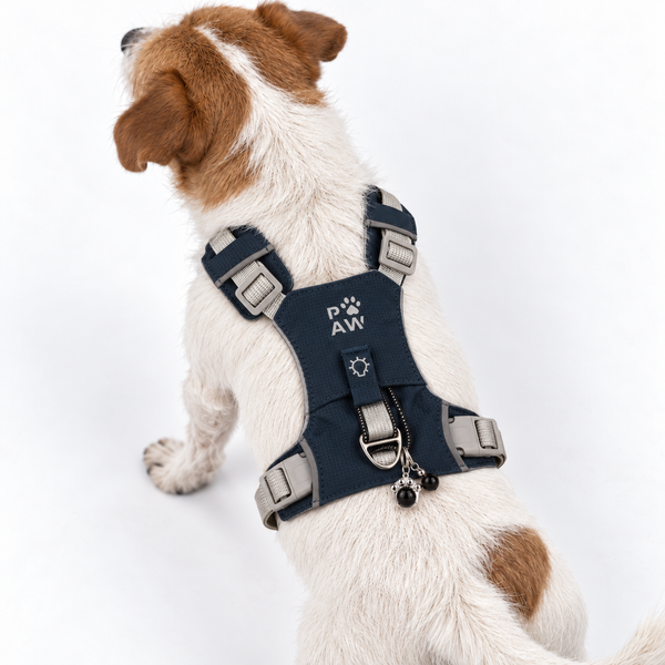 PAW Dog Guardian Harness with Black Obsidian Charm - (4-8kg)