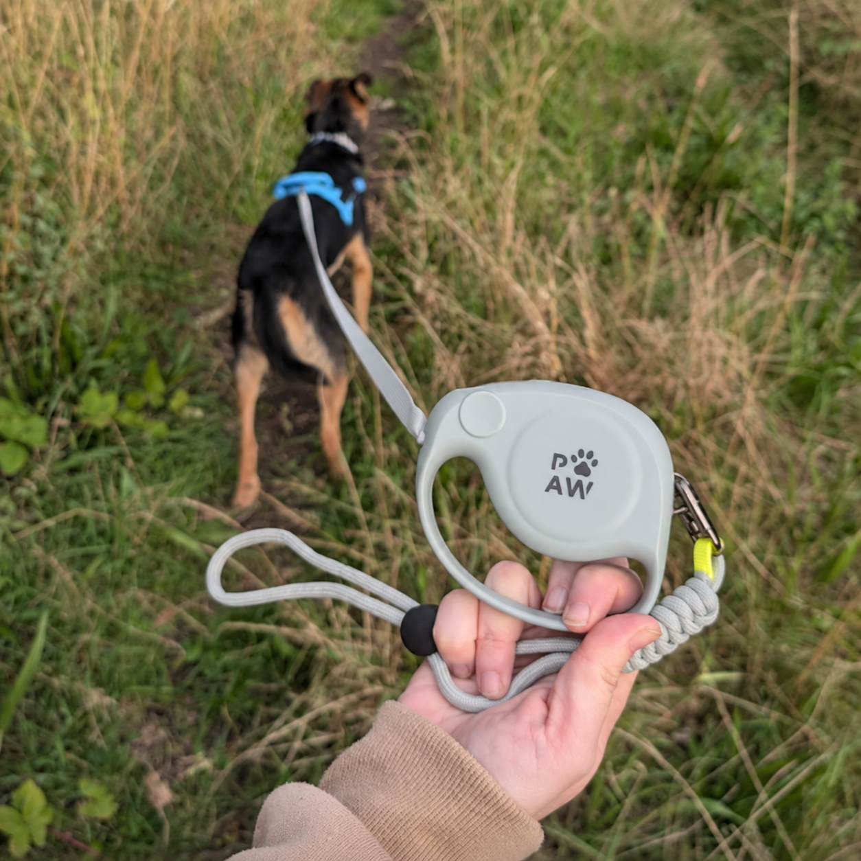 P-AW Designer Retractable Pet Leads