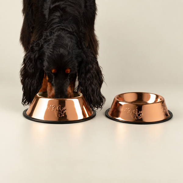 PAW Food Bowls -  Single Copper Style - 22cm - Stainless Steel