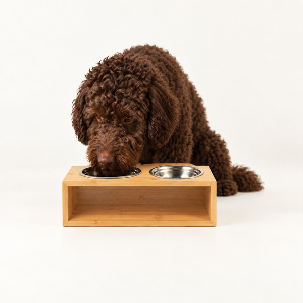 PAW Food Bowls - Lrg Double Stainless Steel in Wooden Stand - 2x13cm