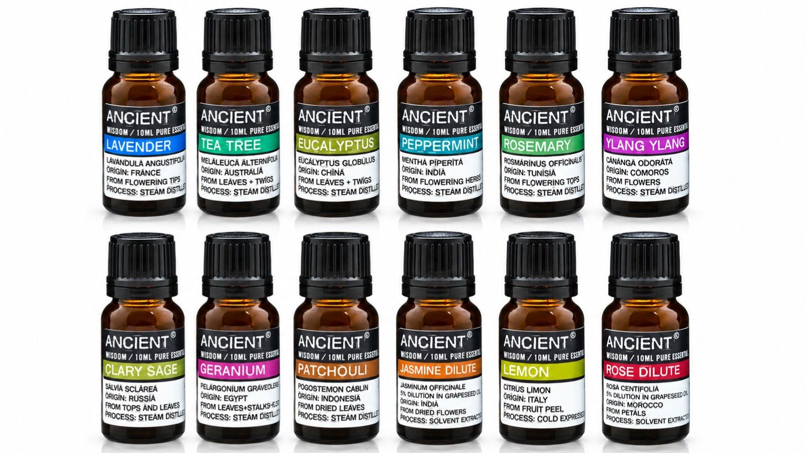 Top 12 Best-Selling Essential Oils Starter Pack – 6 of Each (72 x 10ml)