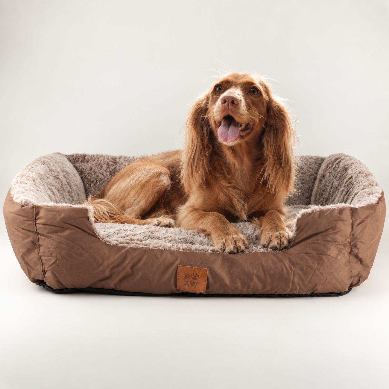 PAW pet bed