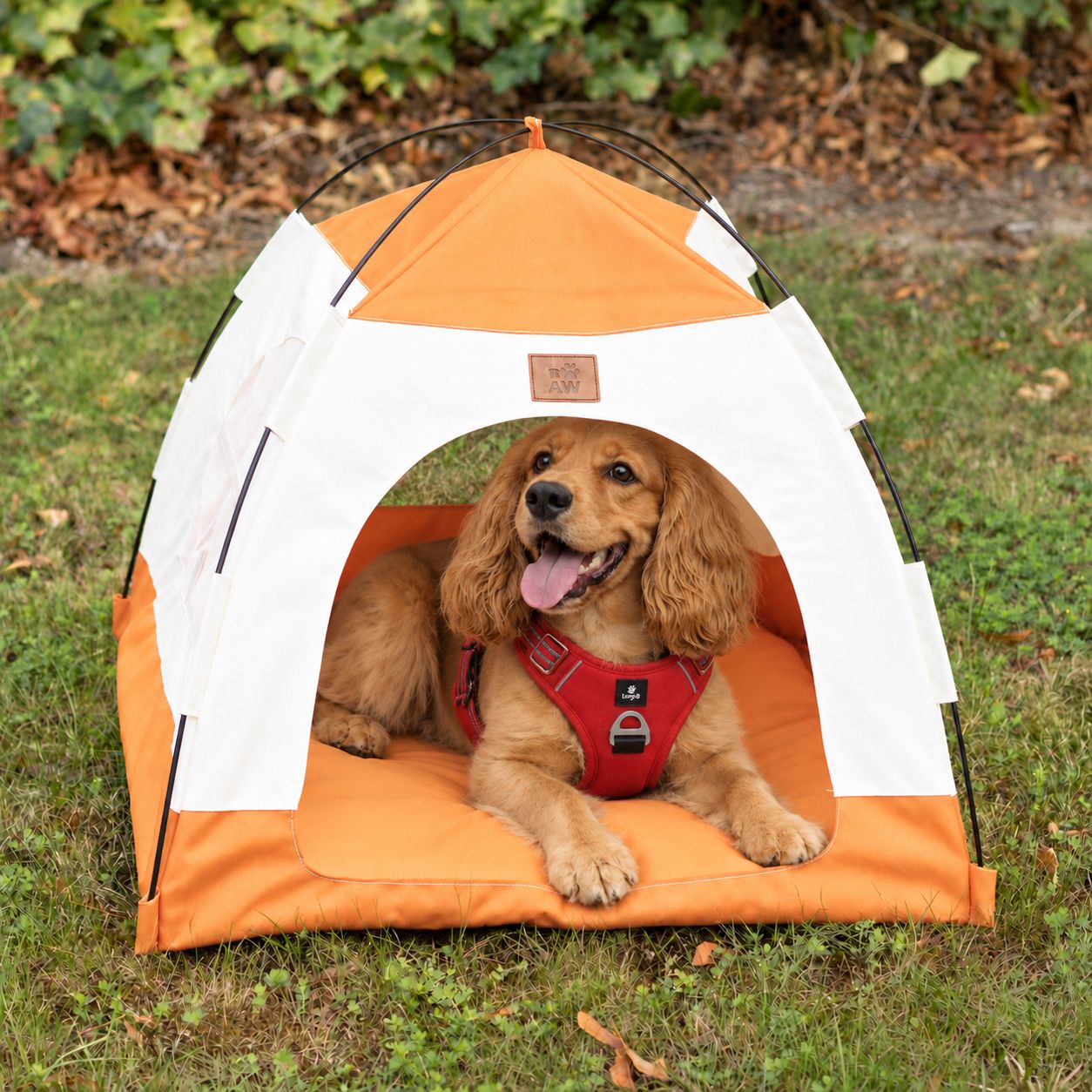 P-AW Wholesale Pet Beds & Cosy Pet Tents