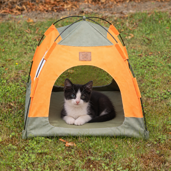 Paw Bed - Green & Orange Tent - 48x48x40cm