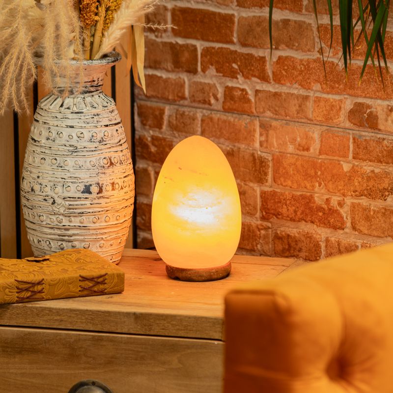 Salt Lamp Egg - Wooden Base
