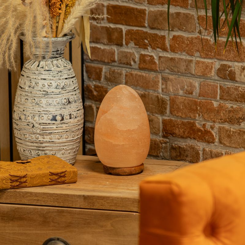 Salt Lamp Egg - Wooden Base