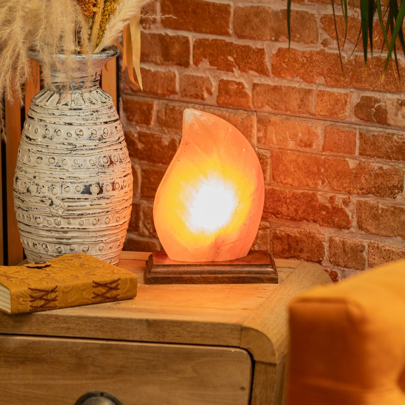 Salt Lamp - Fern Shaped - UK Plug