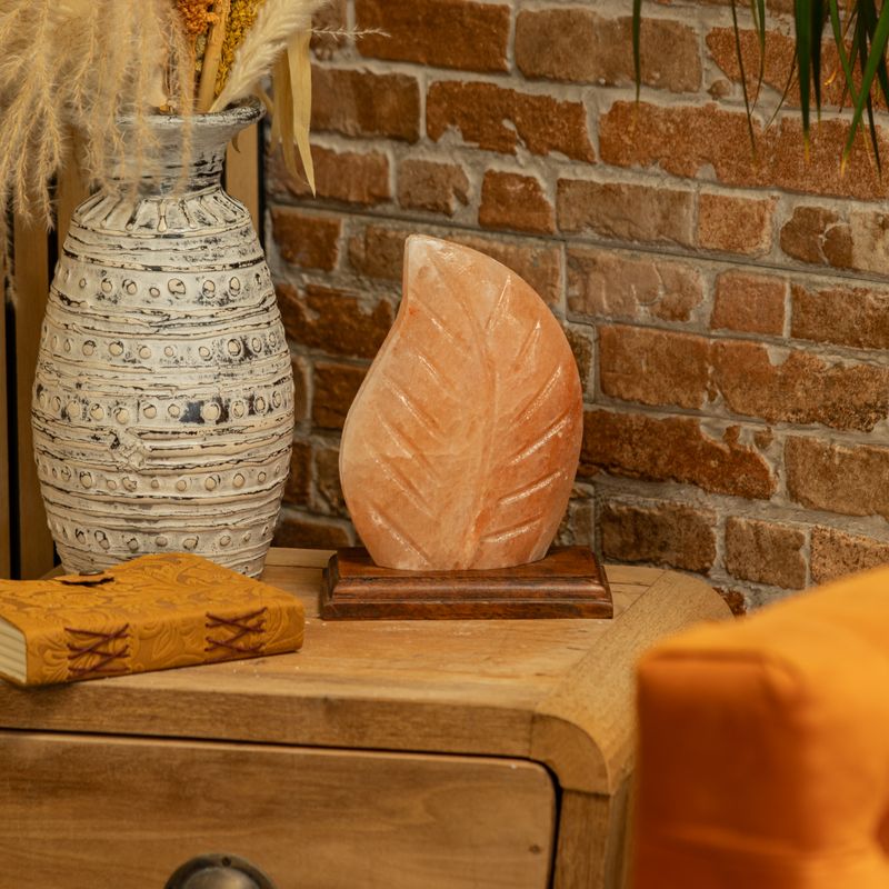 Salt Lamp - Fern Shaped - UK Plug