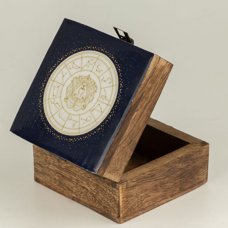 Small Enamelled Box - Leo