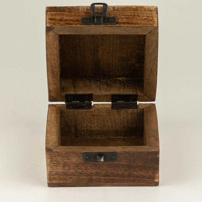 Small Enamelled Box - Leo
