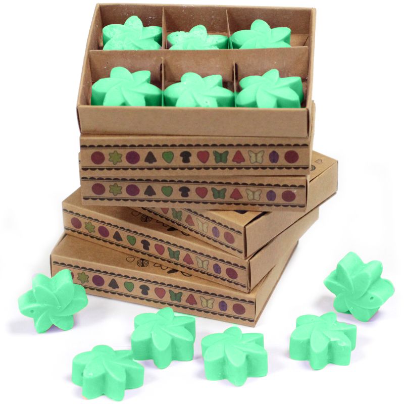 Natural Soy Wax Melts Starter Pack with 4-Tier Display Stand